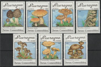 Nicaragua 1990 – 7 kompl ** – Svampar